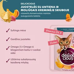 DELICKCIOUS konservuotas pašaras su antiena ir moliūgais suaugusioms katėms, 85 g — 2 nuotrauka