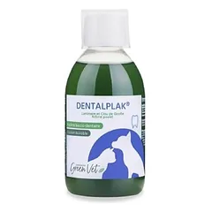 GREENVET - DENTALPACK FLÜSSIG - GREENVET