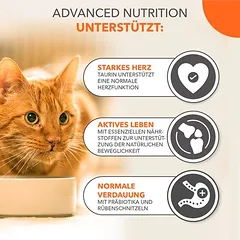 IAMS Advanced Nutrition Senior Cat 11+ su vištiena, sausas maistas katėms, > 10 kg — 4 nuotrauka