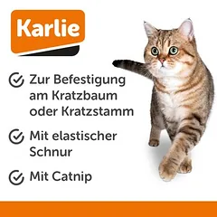 Karlie žaislas draskyklei, 1 vnt. — 2 nuotrauka