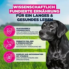 Eukanuba Premium Nutrition Senior Large & Giant Breed su vištiena, sausas maistas šunims, 3 - 4,9 kg — 5 nuotrauka