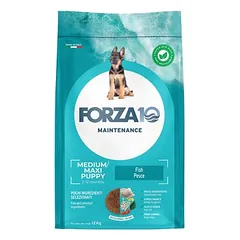 Forza 10 Puppy Junior mit Fisch
