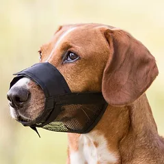 Trixie Muzzle Nylon šunų snukis trumpalaikiam naudojimui, juodas, dydis M-L, snukio ilgis 5.9 cm
