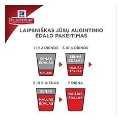 Hill's Science Plan Adult Lamb sausas maistas su ėriena katėms, 10 kg — 3 nuotrauka