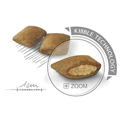 ROYAL CANIN Mini Exigent sausas pašaras šunims, SHN 1kg — 2 nuotrauka