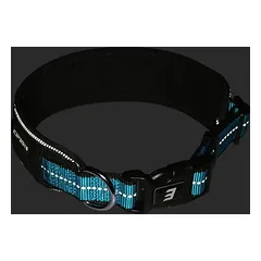 Icepeak Pet minkštas antkaklis šunims Highway, aqua, Dideliems 26–45 kg — 3 nuotrauka