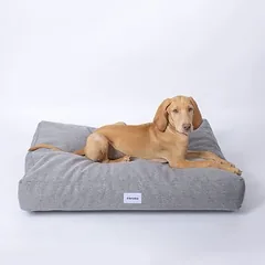 Caruso guolis šunims Clean, Vidutiniams 11–25 kg — 2 nuotrauka