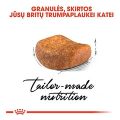 ROYAL CANIN British Shorthair sausas pašaras katėms, FBN 2kg — 2 nuotrauka