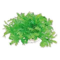 Dirbtinis augalas 10cm