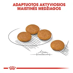ROYAL CANIN CCN Mini dermacomfort sausas maistas suaugusių mažų veislių šunims, jautriai odai 1 kg — 5 nuotrauka