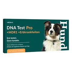 vetevo DNR testas šunims, Veislės nustatymas Pro +MDR1 +paveldimos ligos — 2 nuotrauka