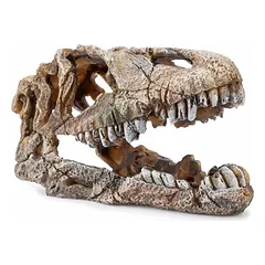 Dekoracija dinozauro galva