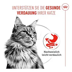 Royal Canin Digestive Care AirLift Mousse drėgnas maistas katėms, 80 - 99 g — 2 nuotrauka