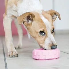KONG Puppy žaislas šuniukams, žiedas, Dideliems 26–45 kg — 2 nuotrauka
