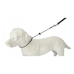 Dingo Gear dresiruojantis smaugiantis antkaklis #3mm, maks. apimtis 50cm