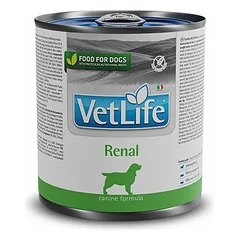 Farmina Vet Life Dog Renal 300 g