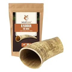 Wildfang Kauhorn vom Rind