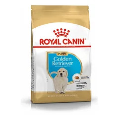 ROYAL CANIN Golden Retriever Junior 12kg + STAIGMENA ŠUNIUI