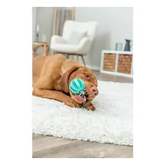Trixie Denta Fun kamuoliukas ant virvės 7–24 cm — 3 nuotrauka