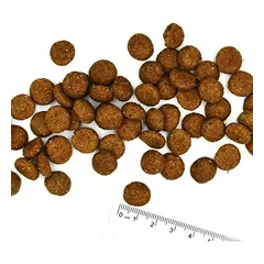 Monge All Breeds Adult Monoprotein su kiauliena, ryžiais ir bulvėmis, sausas maistas šunims 12 kg — 2 nuotrauka