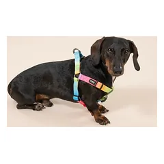 TIAKI Rainbow petnešos, Mažiems 5–10 kg — 4 nuotrauka