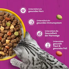 Whiskas 7+ Senior su vištiena, sausas maistas katėms — 3 nuotrauka