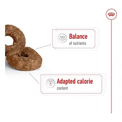 Royal Canin Mini Ageing 12+ sausas maistas šunims 1.5 kg — 3 nuotrauka