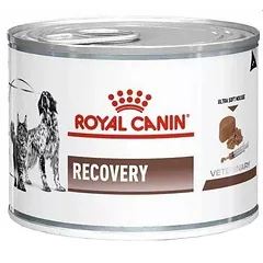 ROYAL CANIN Vet dog/cat recovery 24x195 g šlapias maistas šunims ir katėms intensyvios terapijos metu, po chirurginių operacijų ir reabilitacijos laikotarpiu