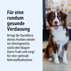 Virbac Veterinary HPM Dog Gastro Digestive Support, drėgnas maistas šunims — 3 nuotrauka
