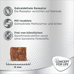Concept for Life Insect Snack su morkomis, skanėstai šunims — 4 nuotrauka