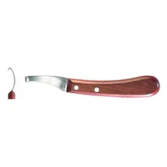 F. DICK kanopų peilis ASCOT-CURVED, rechts-kurz-schmal, 65 mm — 2 nuotrauka