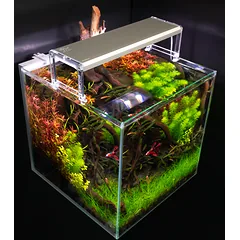 Skylight ENTRIQ FXL. 75AH
