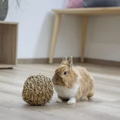 Kerbl Pet Grasball
