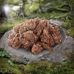 Wolf of Wilderness Adult Single Protein drėgnas maistas šunims, ekonominė pakuotė 24 x 800 g, > 500 g — 3 nuotrauka