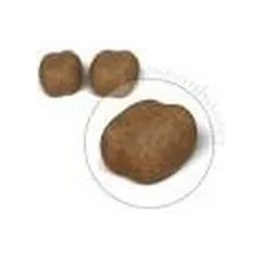 Royal Canin FCN Dental Care sausas maistas katėms 400 g — 4 nuotrauka