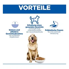 Hill's Science Plan Perfect Weight Adult 1+ Large su vištiena, sausas maistas šunims — 4 nuotrauka