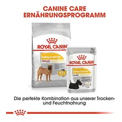 Royal Canin Medium Dermacomfort sausas maistas šunims — 5 nuotrauka