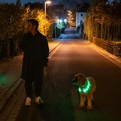 TIAKI USB LED silikoninis žiedas Spark, žalia — 4 nuotrauka