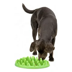 NORTHMATE ® Green Feeder, NORTHMATE ® Green Feeder L 40 x  B 30 x H 10 cm — 2 nuotrauka