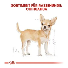 Royal Canin Chihuahua Adult drėgnas maistas, papildantis sausą maistą šunims, 80 - 99 g — 3 nuotrauka
