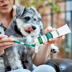 Vet's Best® dantų priežiūros rinkinys šunims, Dantų šepetėlis ir dantų pasta (100 g) — 4 nuotrauka