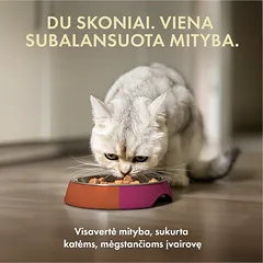 Visų veislių suaugusių kačių šlapių pašarų rinkinys, 4x85 g — 2 nuotrauka