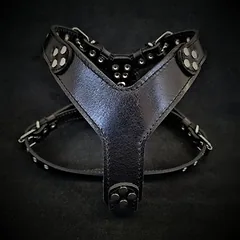 Bestia Hundegeschirr Style