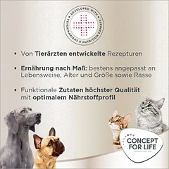 Concept for Life British Shorthair Adult (ragu kokybės), drėgnas maistas katėms — 5 nuotrauka