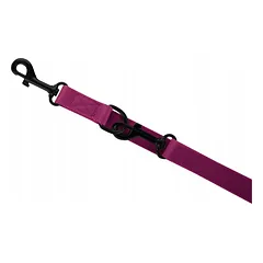 Ilga reguliuojama dresiruojamo tipo pavadėlis šunims Bordo |CHABA| Patvarus 20mm - 260cm — 2 nuotrauka