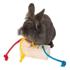 Trixie Snack Cube medinis žaislas graužikams, 15 × 5.5 × 6 cm — 2 nuotrauka