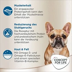 Concept for Life prancūzų buldogų Adult, sausas maistas šunims, 4 kg — 4 nuotrauka