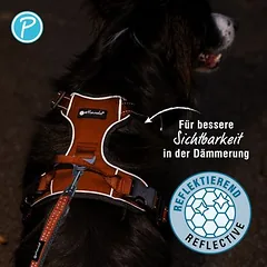 Petlando Outdoor petnešos, oranžinės, Mažiems 5–10 kg — 3 nuotrauka