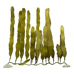 Aqua Della Plastikpflanze Caulerpa