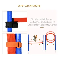 Agility rinkinys raudonas ir mėlynas — 5 nuotrauka